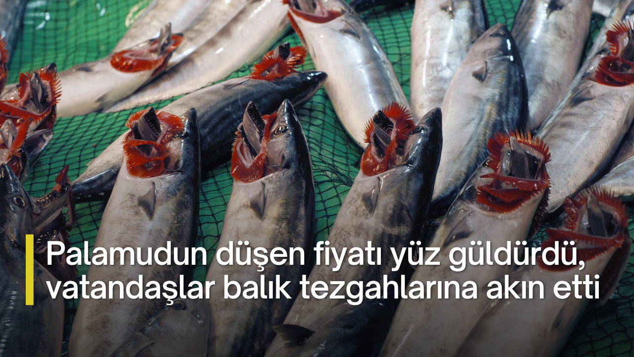 Palamudun düşen fiyatı yüz güldürdü, vatandaşlar balık tezgahlarına akın etti