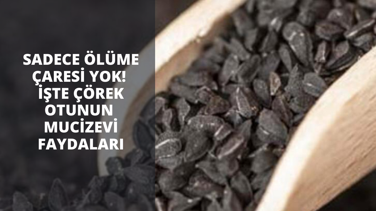 Sadece ölüme çaresi yok! İşte çörek otunun mucizevi faydaları