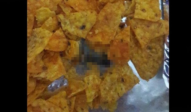 Cips paketinin içinden çıkanı görünce inanamayacaksınız!