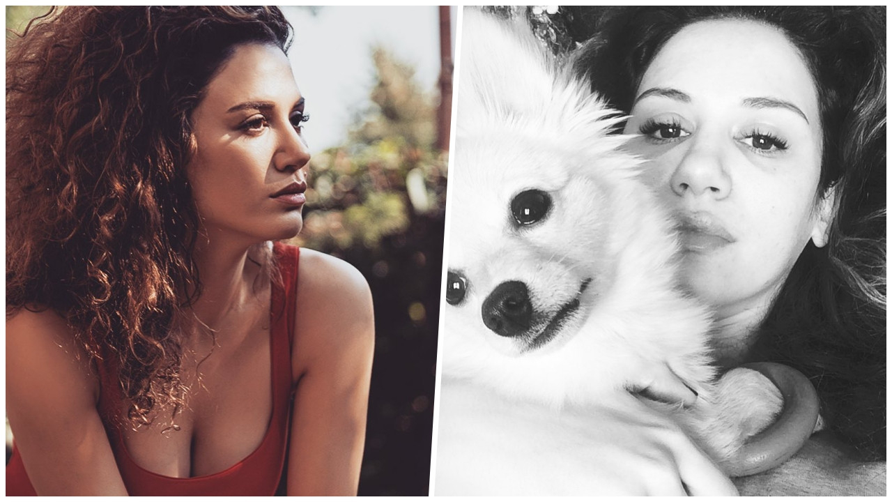 Ekin Türkmen'in başı köpekleri yüzünden derde girdi! İş adamına saldırdılar