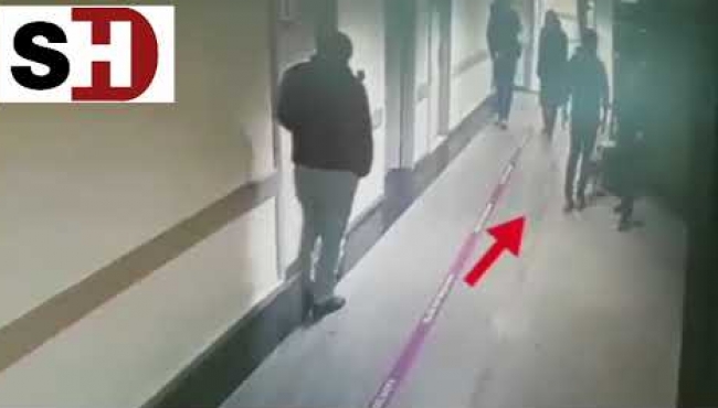 Yalan haberde son nokta! Hürriyet muhabirinin kedi asparagası...