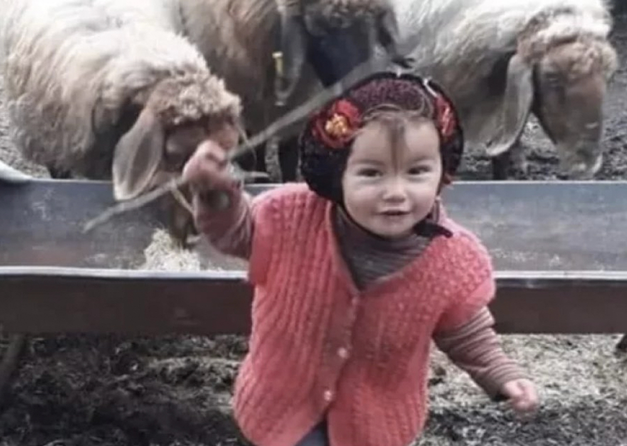 Müslüme Yağal cinayetinde yeni gelişme! Yeniden rapor alınacak