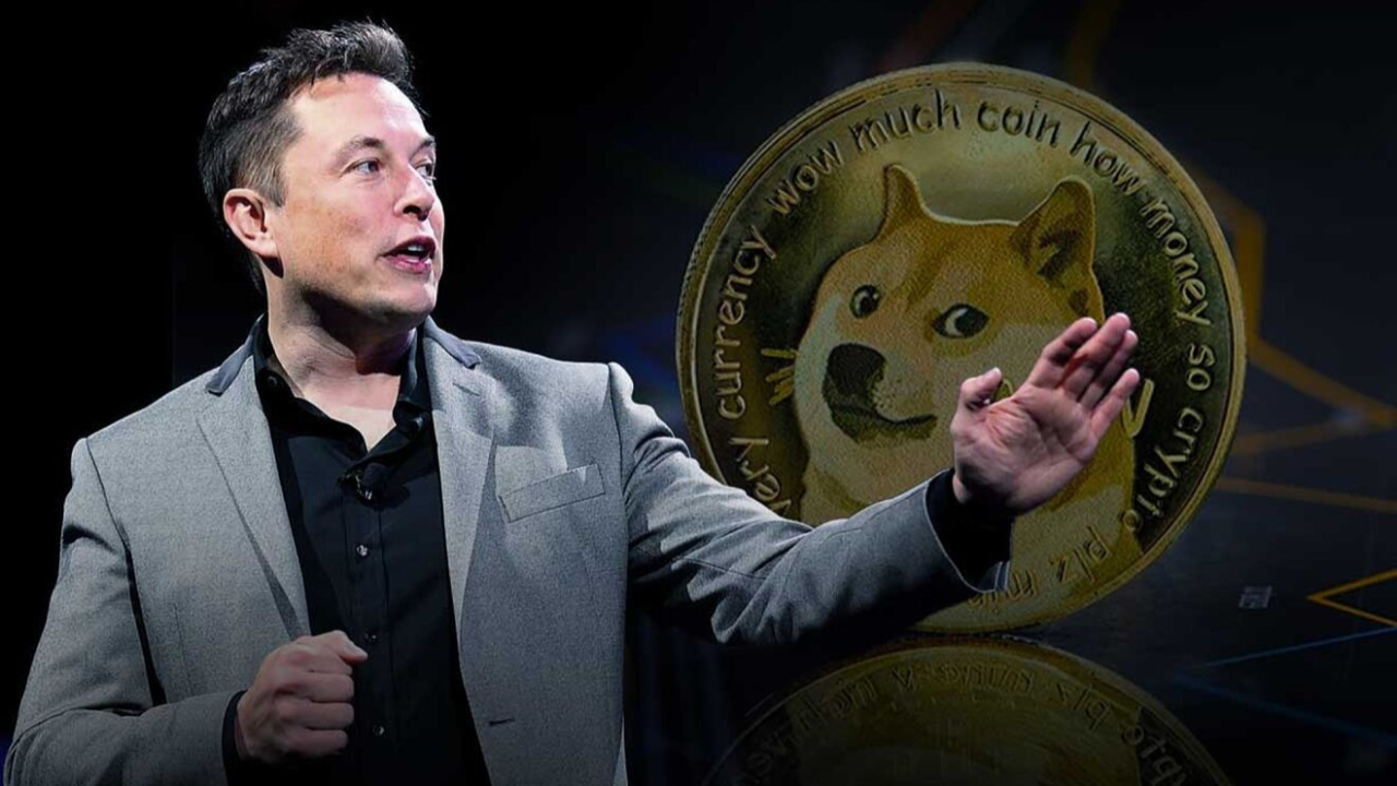 Musk Twitter’ı aldı Dogecoin yüzde 100 değer kazandı