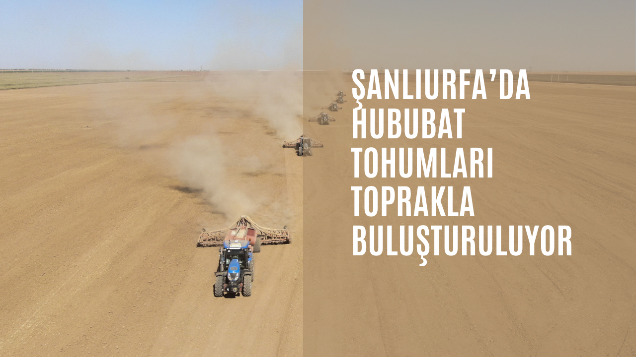 Şanlıurfa’da hububat tohumları toprakla buluşturuluyor