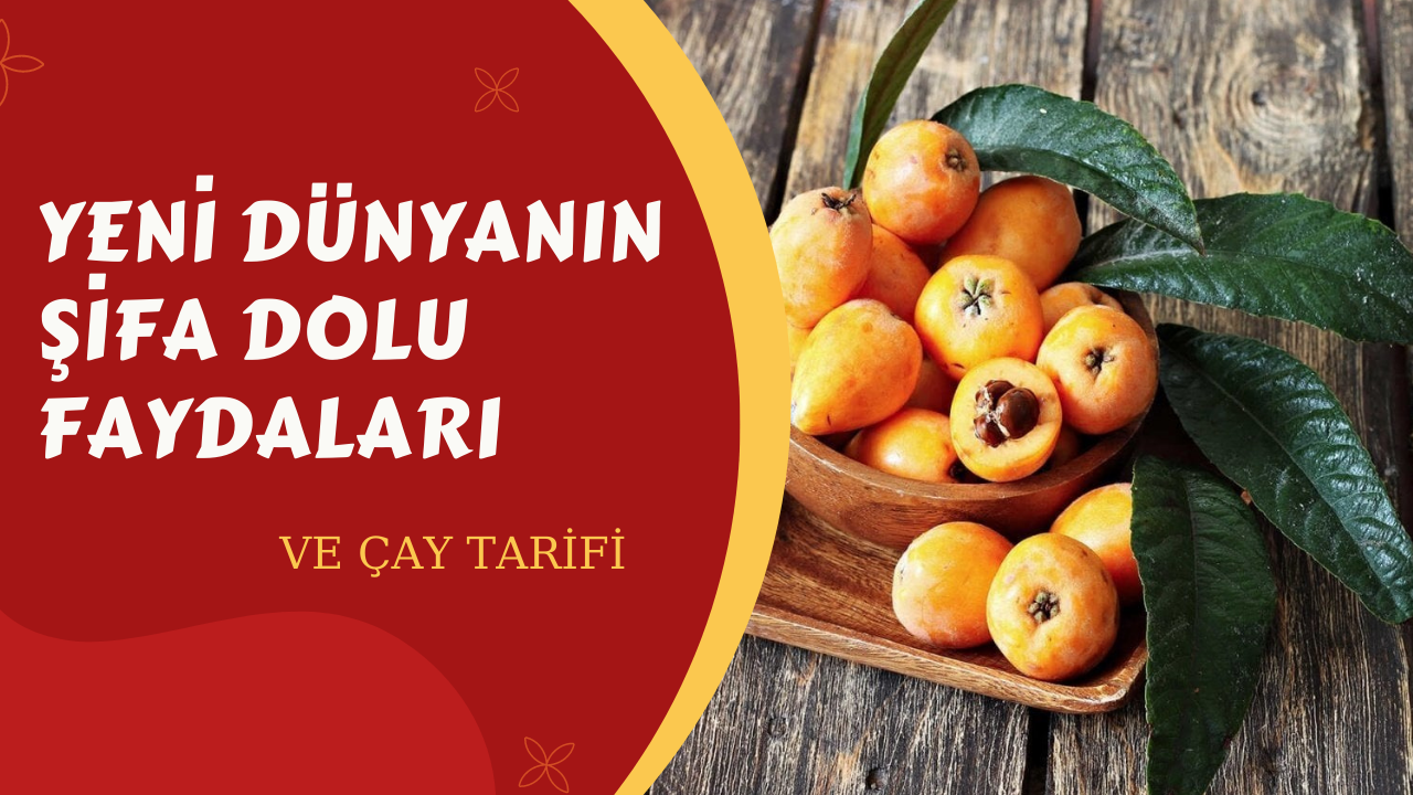Diyabeti ve birçok hastalığı önleyen yeni dünya meyvesinin faydaları