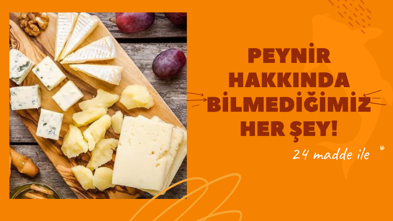 Peynir hakkında bilmemiz her şey!