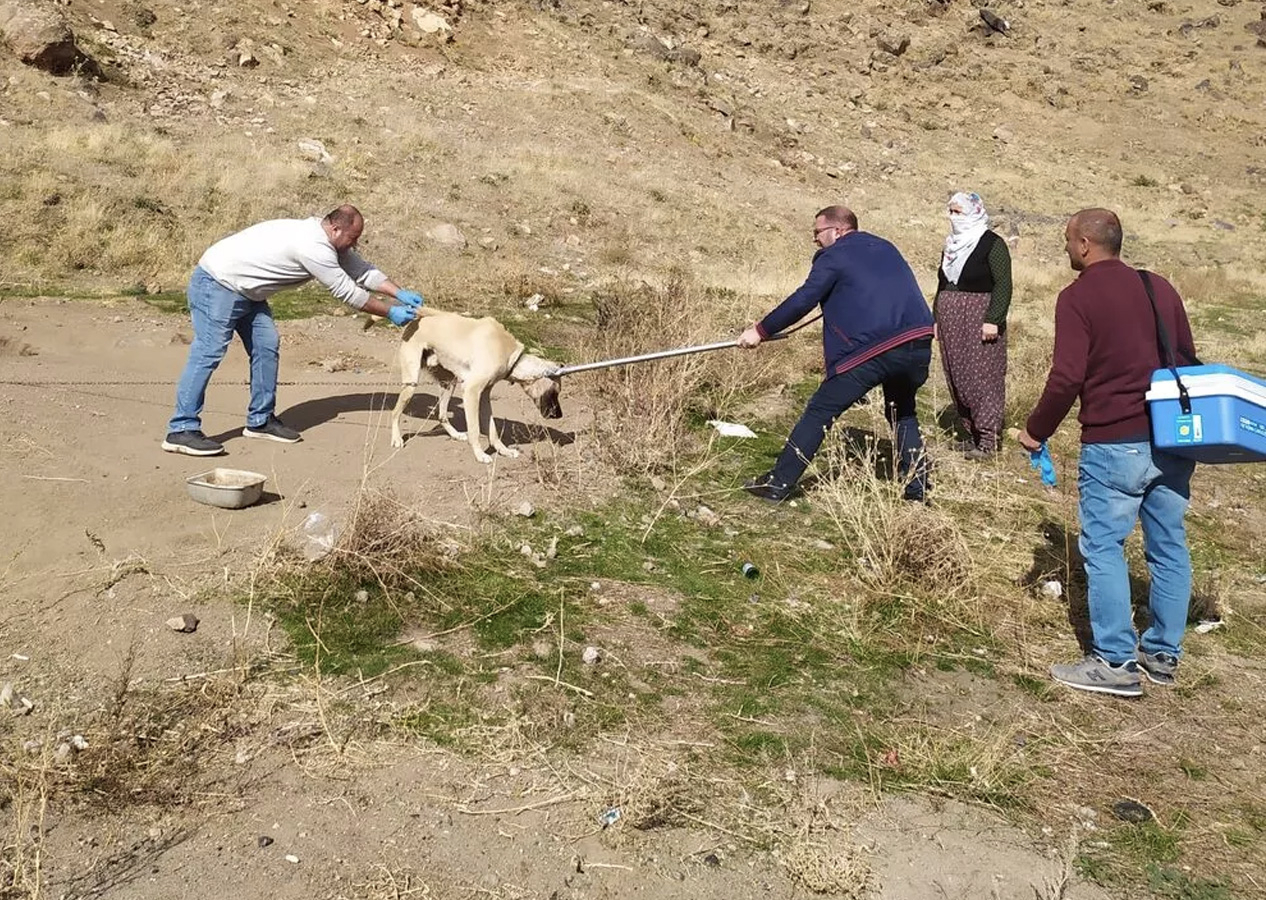 Sokak köpeğinin ısırdığı çocukta kuduz çıkmıştı: Sudan korkmasıyla ortaya çıktı