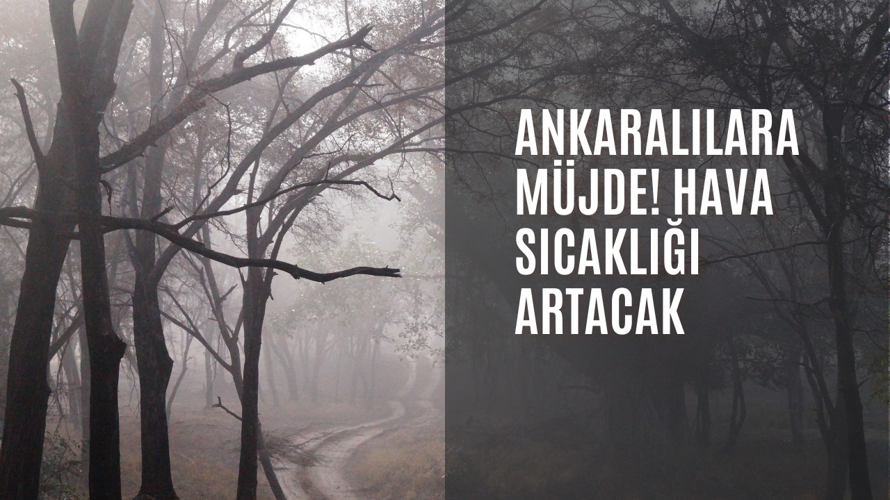 Ankaralılara müjde! Hava sıcaklığı artacak