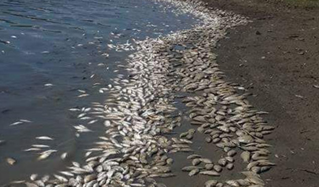 Tekirdağ'da korkutan görüntü!...