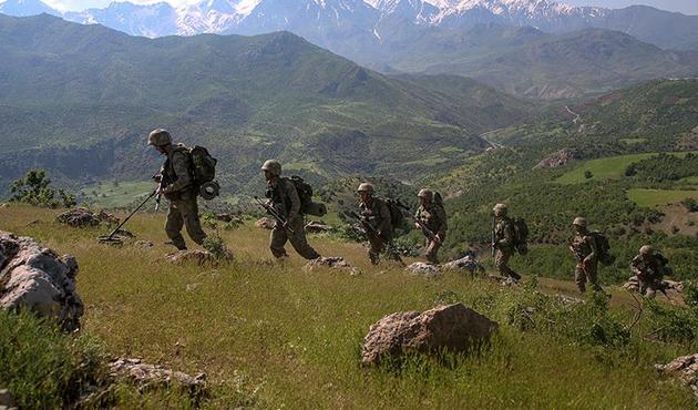 Siirt Valiliği açıkladı: PKK'nın Herekol Dağı yapılanması çökertildi!