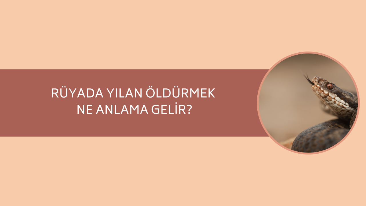 Rüyada yılan öldürmek ne anlama gelir?