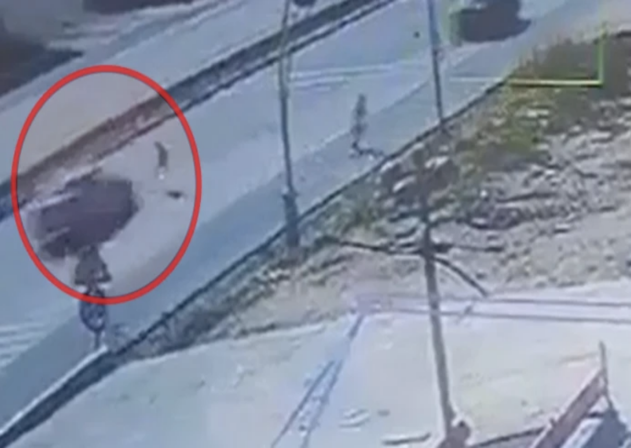 Yine dehşet: Sokak köpeklerinden kaçmak isterken araba çarptı!