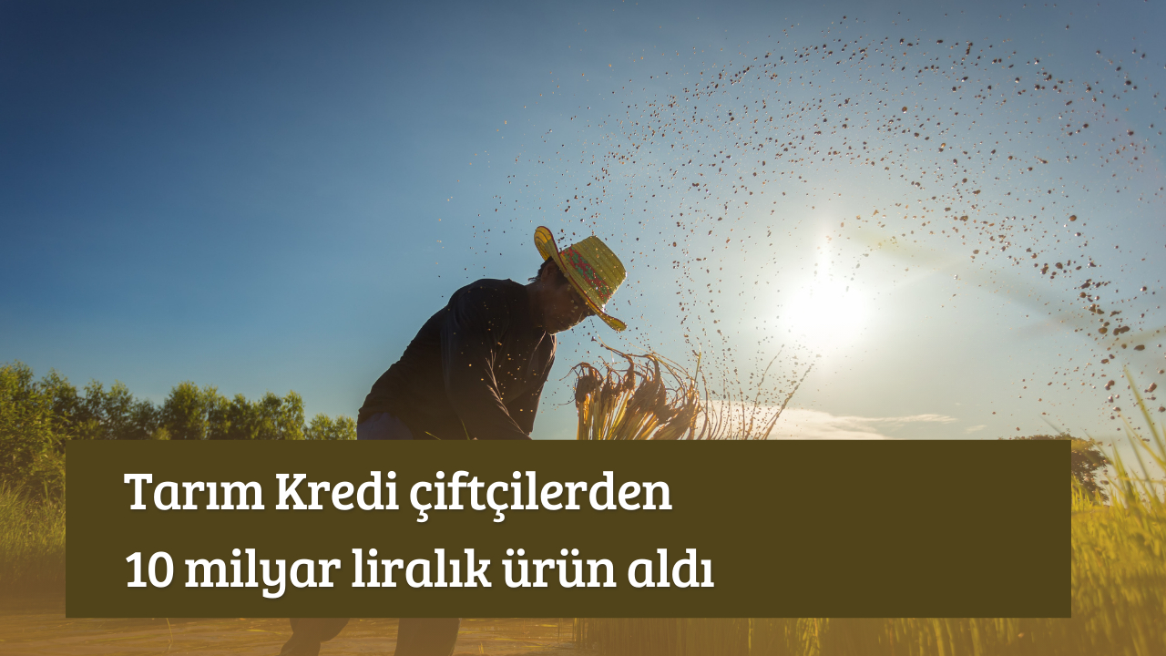 Tarım Kredi çiftçilerden 10 milyar liralık ürün aldı