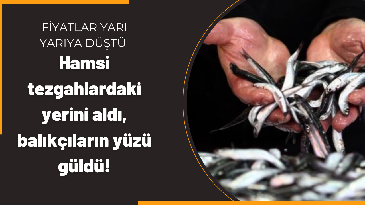 Hamsi tezgahlardaki yerini aldı, balıkçıların yüzü güldü! Fiyatlar yarı yarıya düştü
