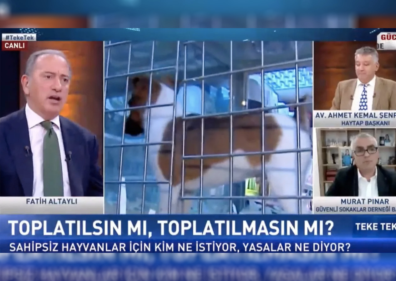 Fatih Altaylı, sokaklardaki başıboş köpekleri savunan HAYTAP Başkanına canlı yayında saydırdı