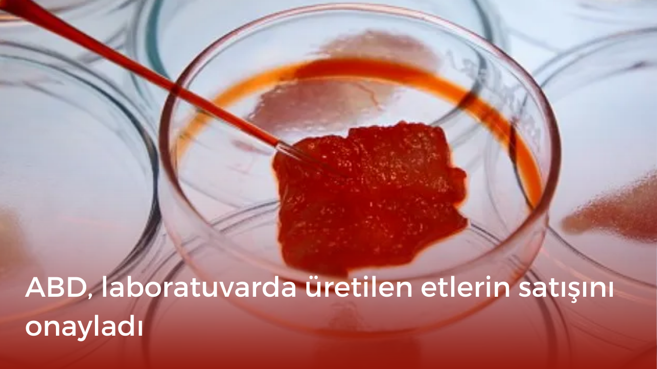 Yapay et dönemi başlıyor! ABD, laboratuvarda üretilen etlerin satışını onayladı
