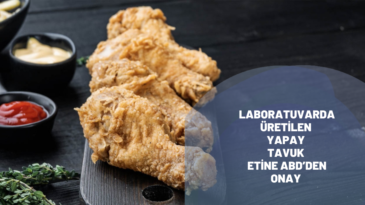 Laboratuvarda üretilen yapay tavuk etine ABD’den onay