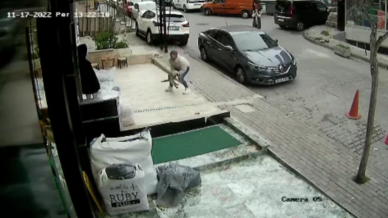 Güngören'de 3. kattan düşen kediyi havada yakaladı