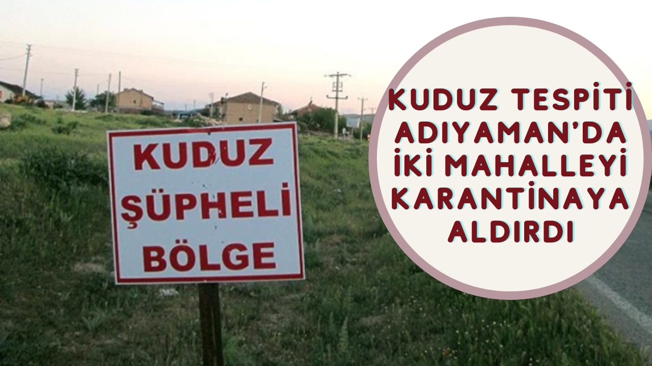 Kuduz tespiti Adıyaman'da iki mahalleyi karantinaya aldırdı