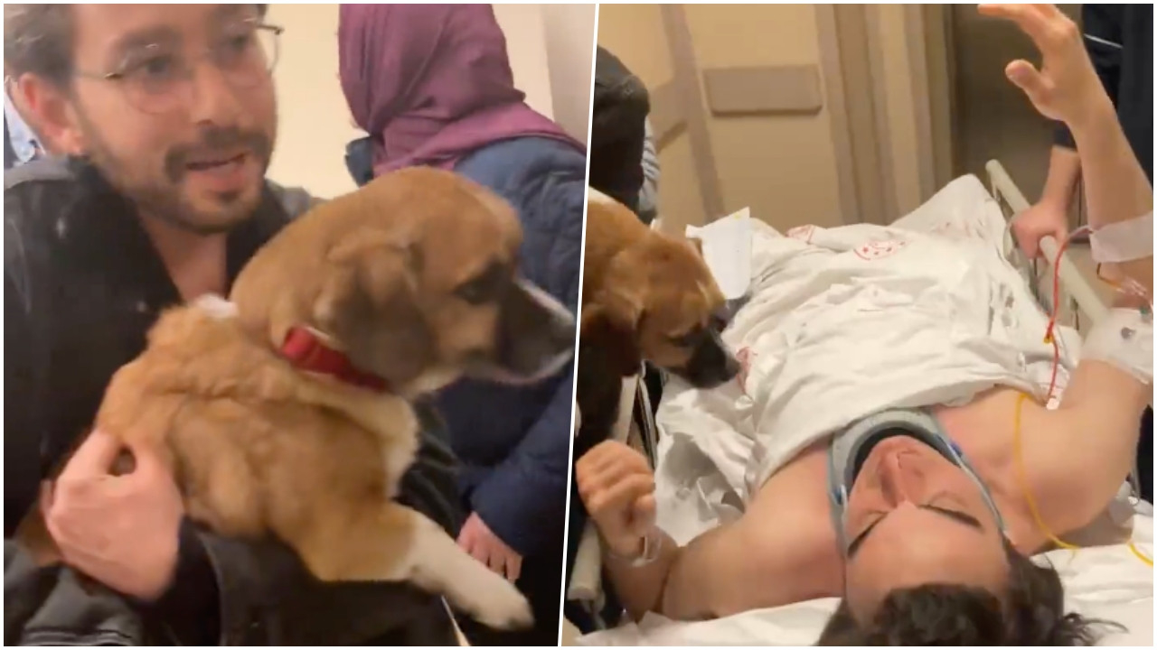 Kazada yaralanan Sergen Deveci ile köpeğinin kavuşma anı duygulandırdı