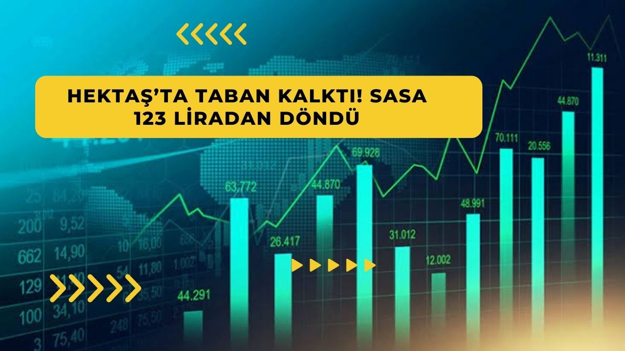 Hektaş’ta taban kalktı! SASA 123 liradan döndü