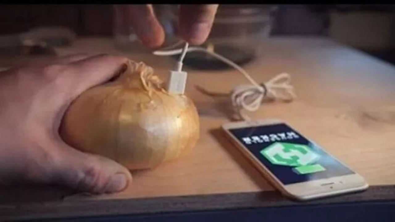 Bu deneyin sonucuna çok şaşıracaksınız! Soğan ile telefon şarj etti