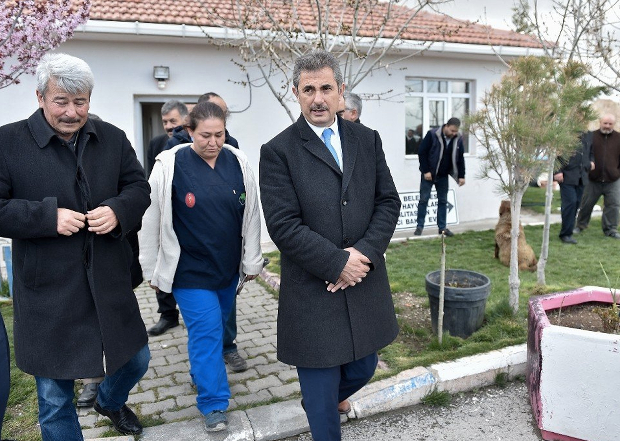 Başıboş köpeklerle mücadelesi takdir topladı! Murat Köse o provokatörlere fırsat vermedi: Yasal işlem başlatıldı!
