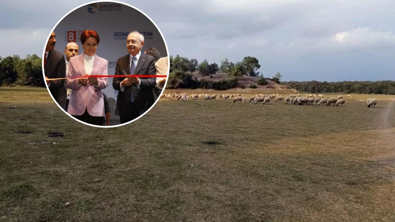 Akşener ve Kılıçdaroğlu'nun 'temel atma' fiyaskosu: 'Karavan Kampı' demişlerdi koyunlara otlak oldu...