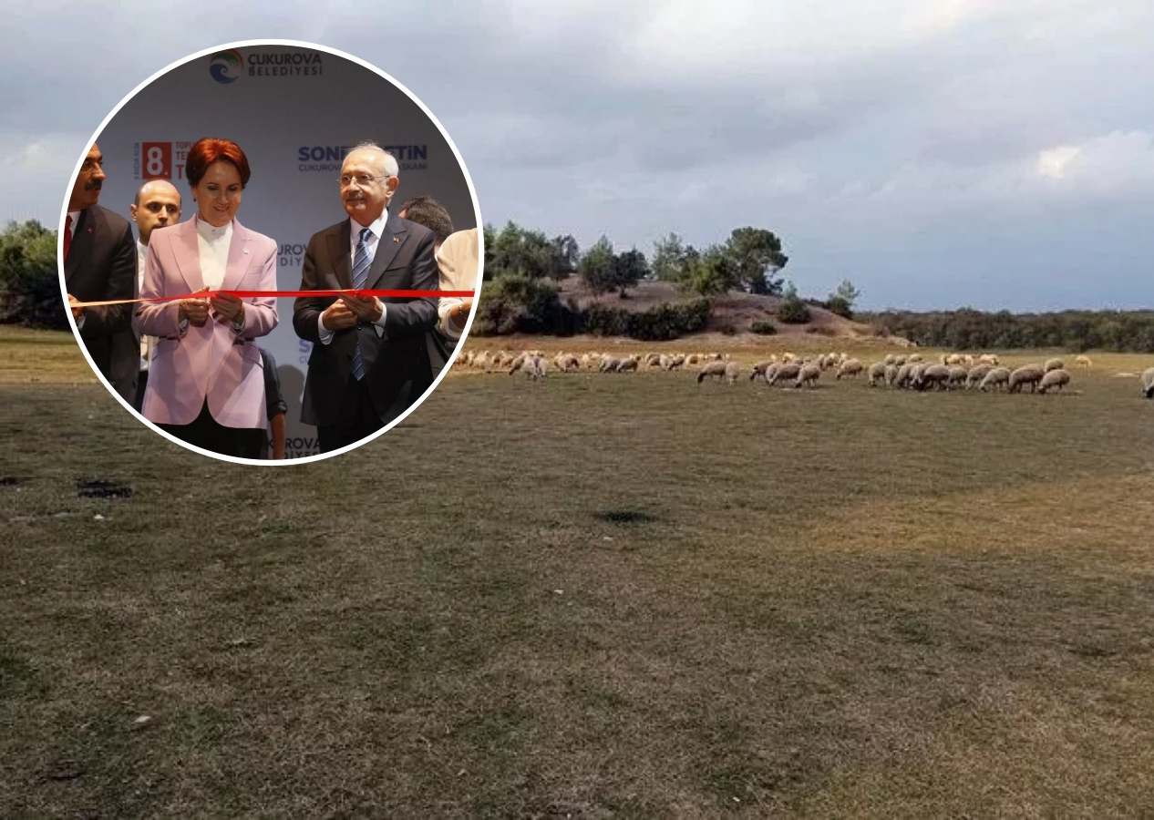 Akşener ve Kılıçdaroğlu'nun 'temel atma' fiyaskosu: 'Karavan Kampı' demişlerdi koyunlara otlak oldu...