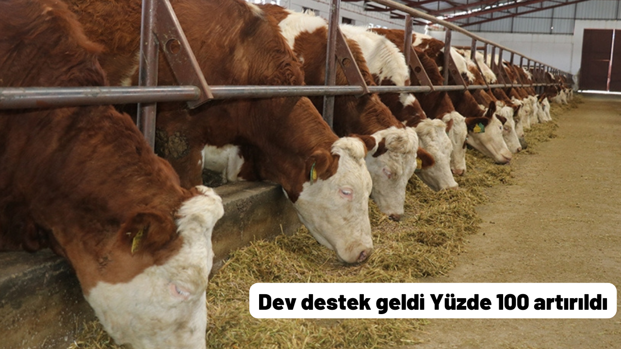 Dev destek geldi! Yüzde 100 artırıldı