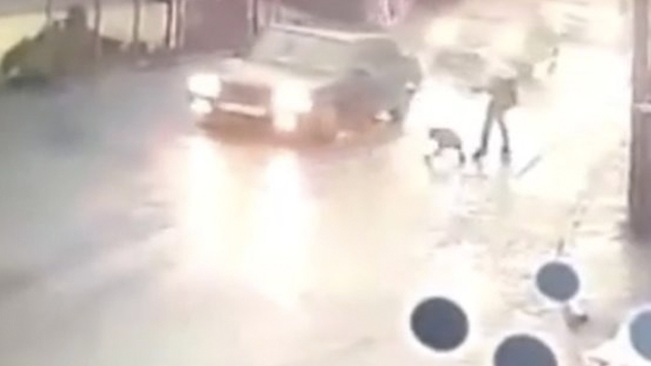 İstanbul'un göbeğinde pitbull dehşeti: Tasmasından kurtuldu, çocuğa saldırdı