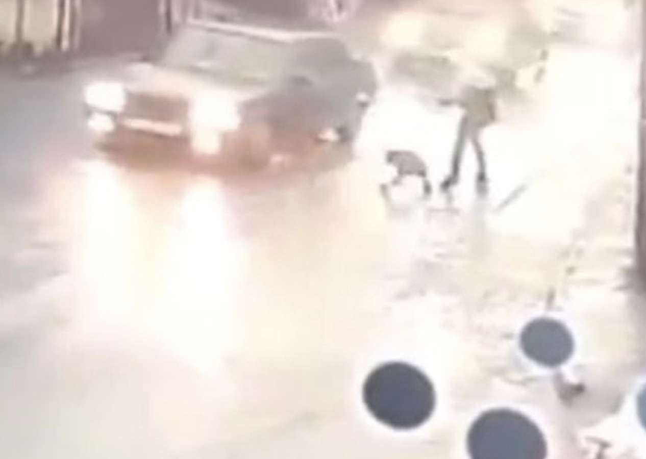 İstanbul'un göbeğinde pitbull dehşeti: Tasmasından kurtuldu, çocuğa saldırdı
