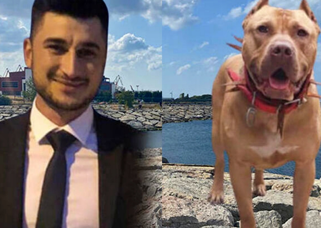 Pitbull ile denize girdikten sonra ölmüştü... Savcılıktan dikkat çeken karar: Kendi rızası ile girdi!