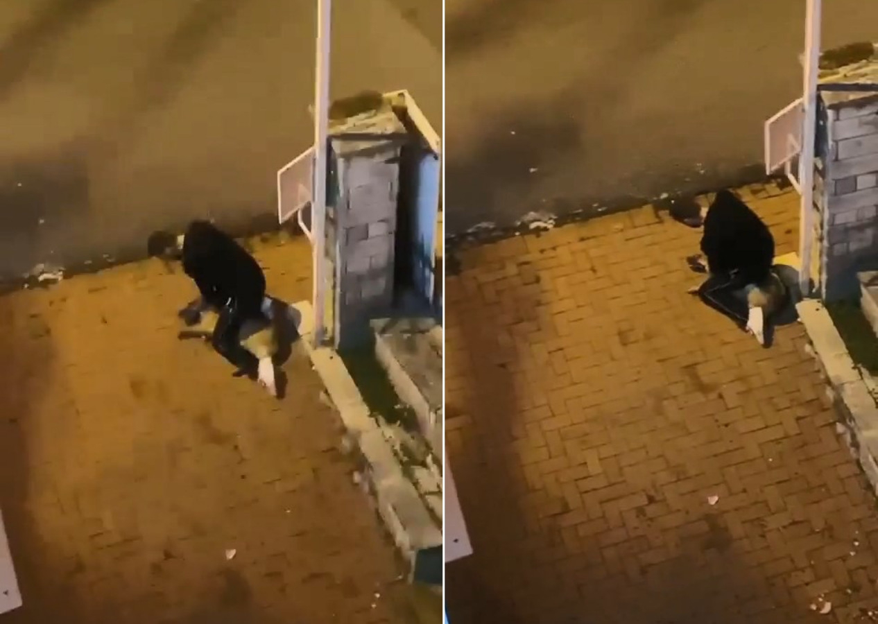 Köpeği yere yatırarak boğmaya çalıştı! O anlar kamerada...