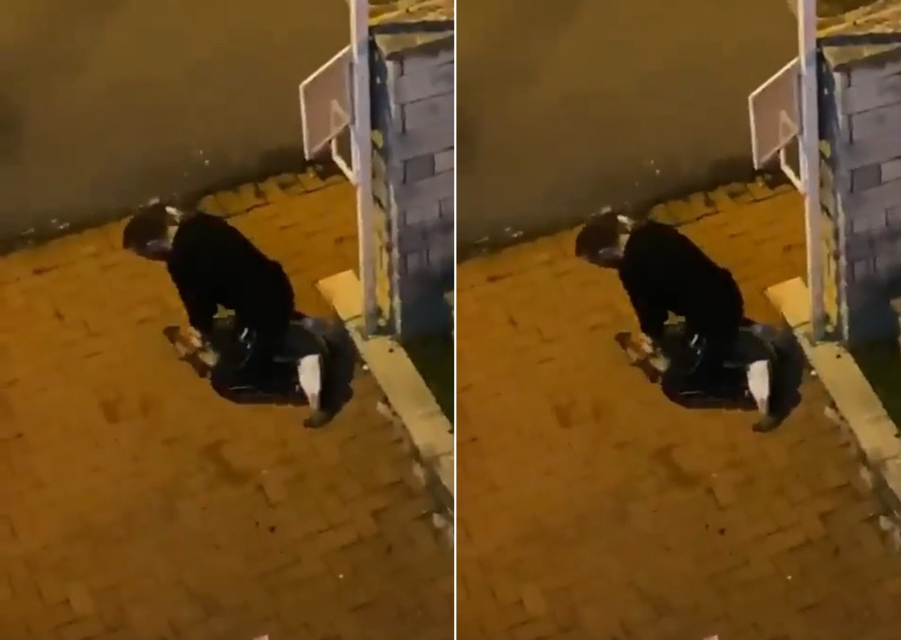 Köpeği sokak ortasında öldürmeye çalışan saldırgan tutuklandı!