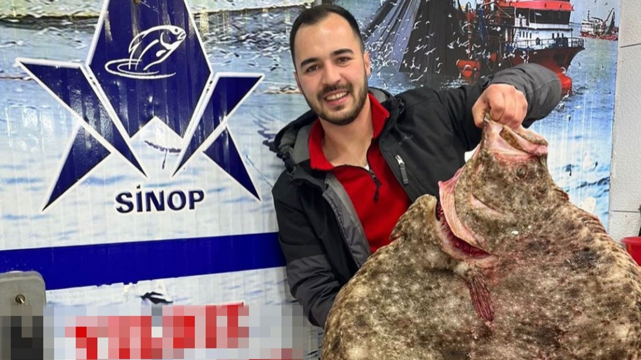 10 kilogramlık dev kalkan 6 bin TL'ye satıldı