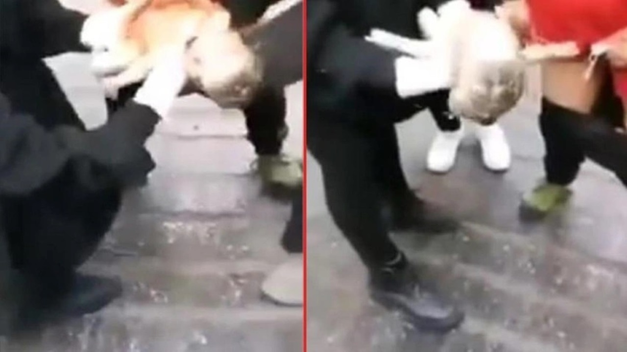 Çin'de hamile bir kadın hastaneye alınmayınca ayakta doğurdu
