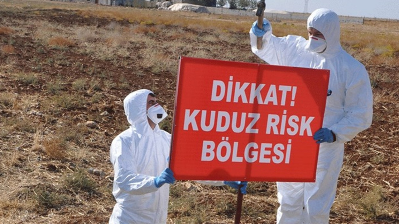 Kuduz şüphesi endişe yarattı! O bölge karantinaya alındı