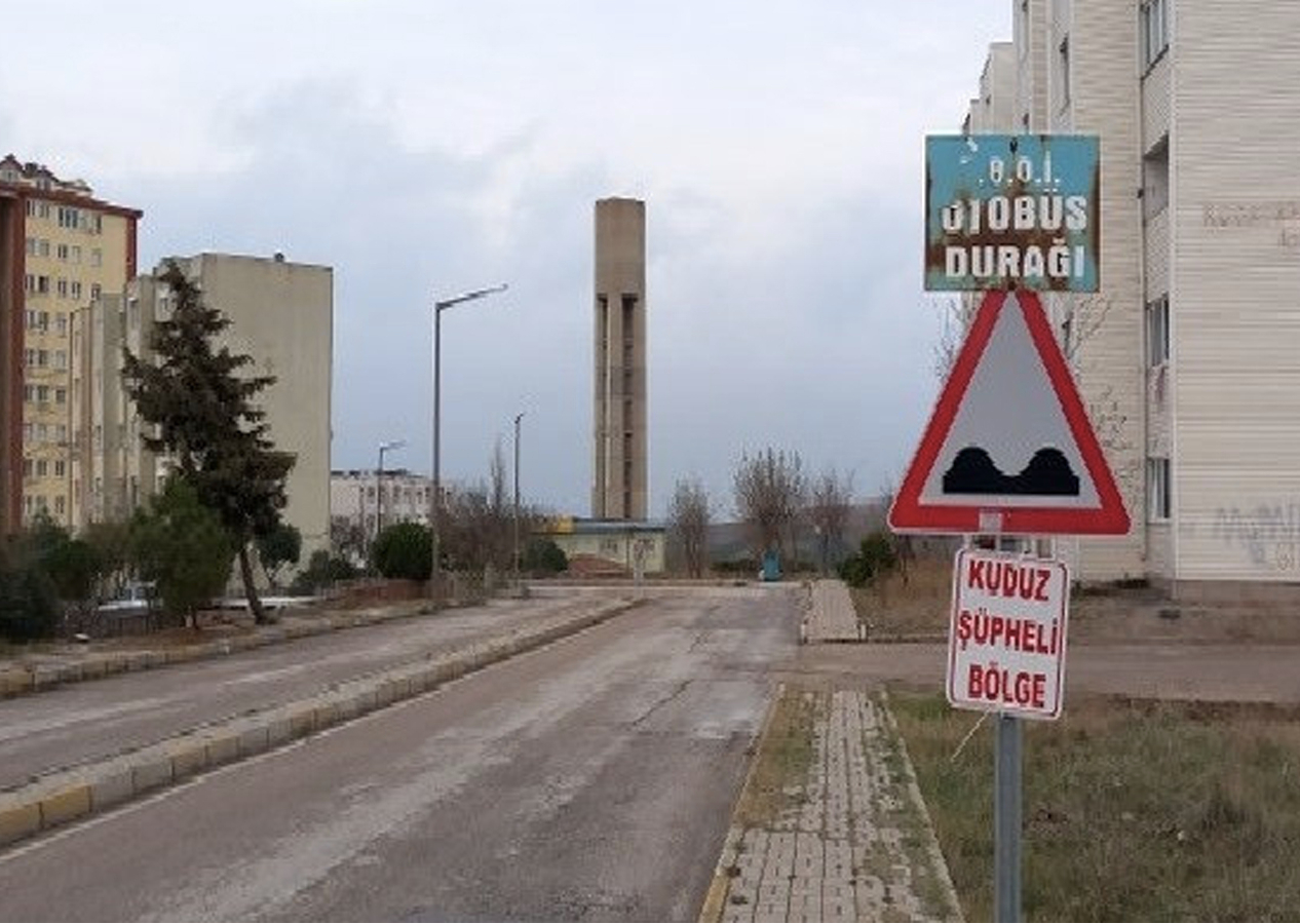 Kuduz şüphesiyle karantinaya alınan mahalleden yeni gelişme!