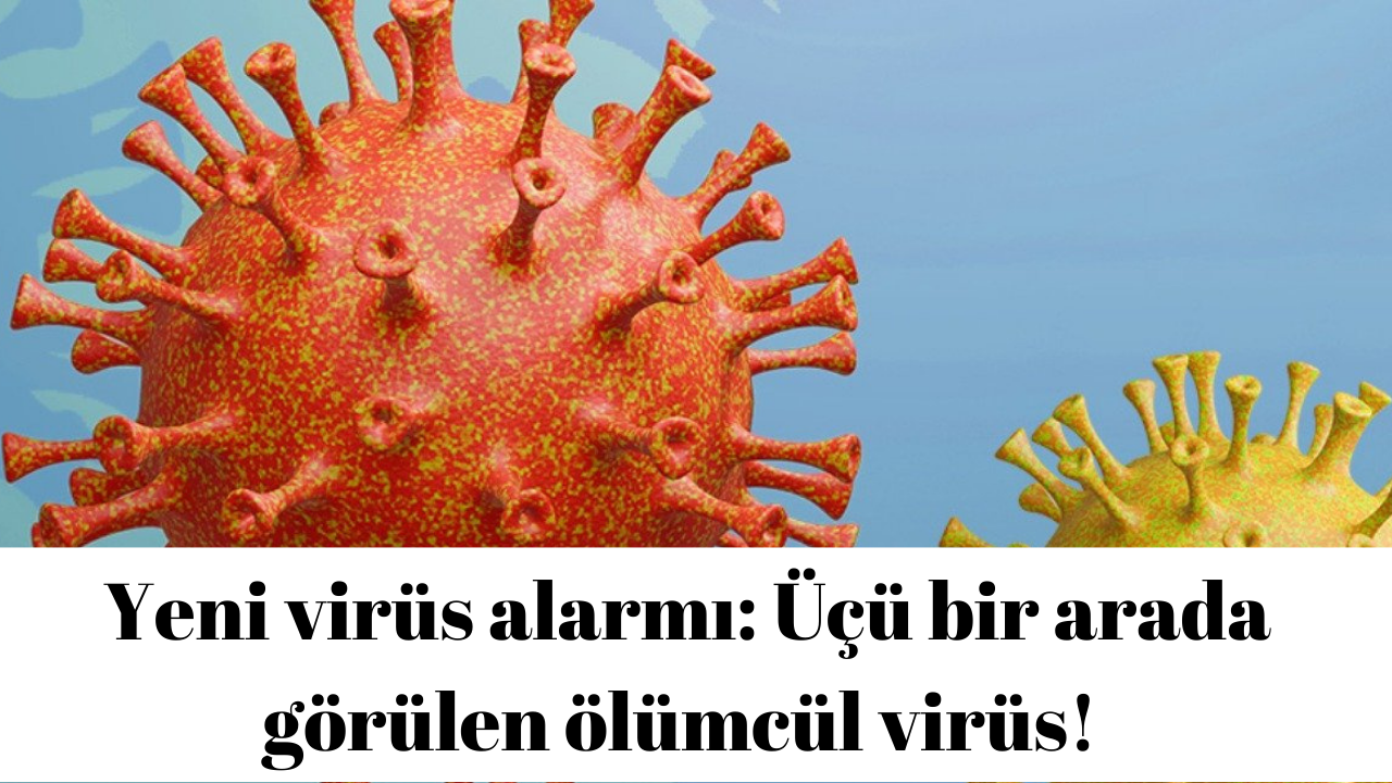 Yeni virüs alarmı: Üçü bir arada görülen ölümcül virüs!