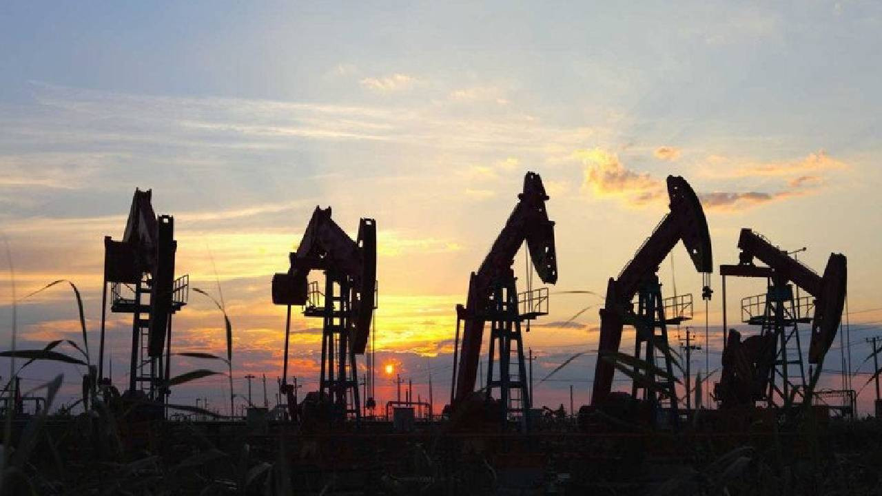 Gabar Dağı'nda kaliteli ve yüksek miktarda petrol rezervi bulunmuş...Duyurusunu Cumhurbaşkanı Erdoğan yapacak
