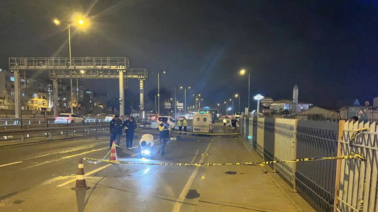 İstanbul’da pitbull köpek kavgaya yol açtı! Olayda 1 kişi öldü