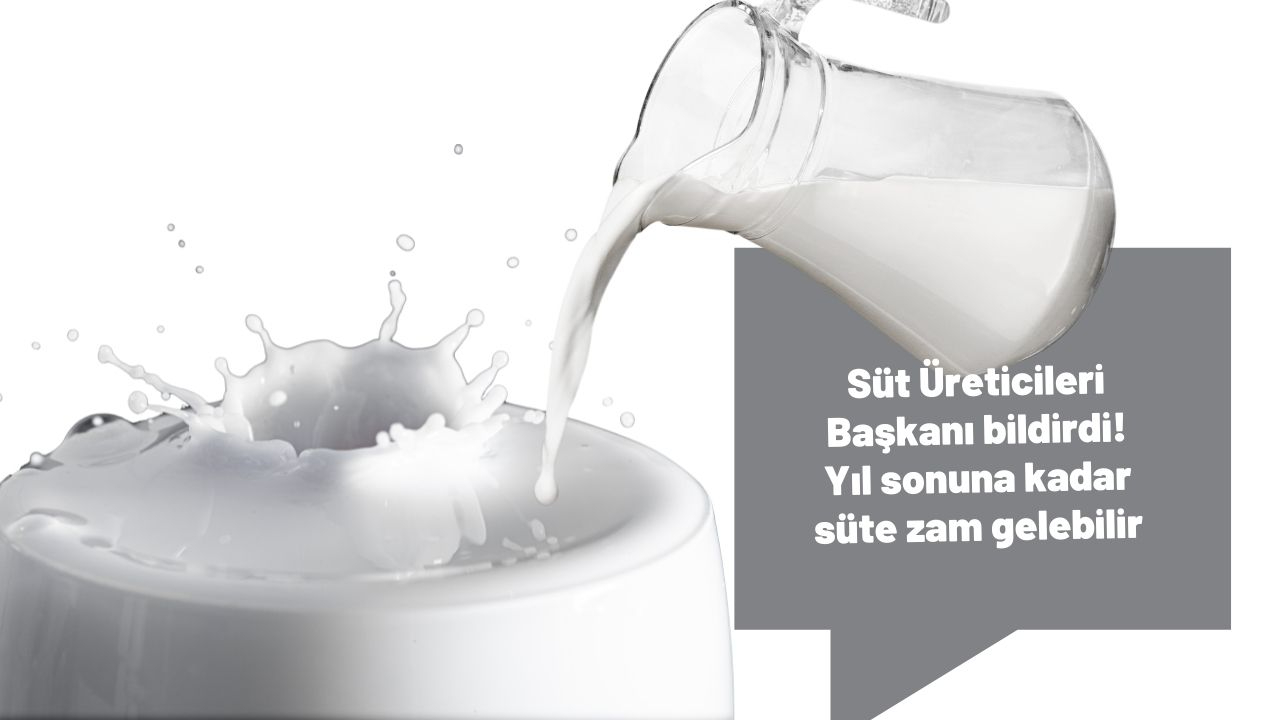 Süt Üreticileri Başkanı bildirdi! Artan maliyetlerden dolayı yıl sonuna kadar süte zam gelebilir