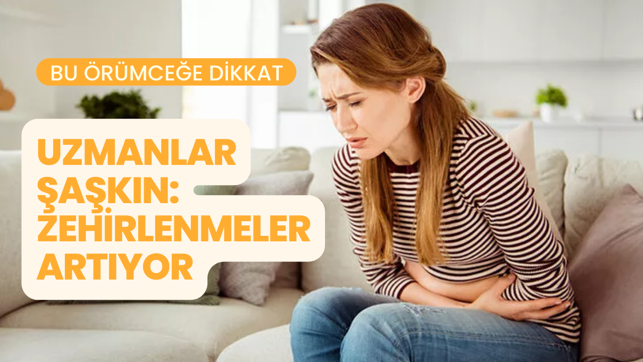 Bu örümceğe dikkat! Uzmanlar şaşkın: Zehirlenmeler artıyor