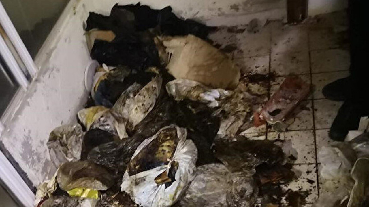 Muğla'da skandal! Bir evde 20'den fazla kedi ve köpek ölüsü çıktı!