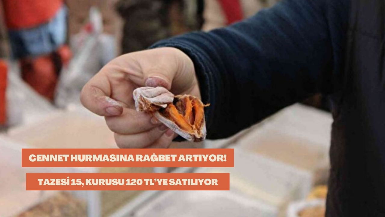Cennet hurmasına altın çağını yaşıyor! Tazesi 15, kurusu 120 TL’ye satılıyor