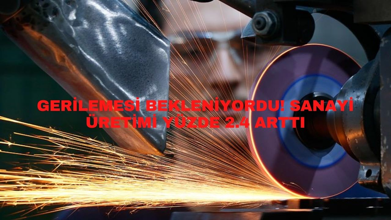 Gerilemesi bekleniyordu! Sanayi üretimi yüzde 2.4 arttı