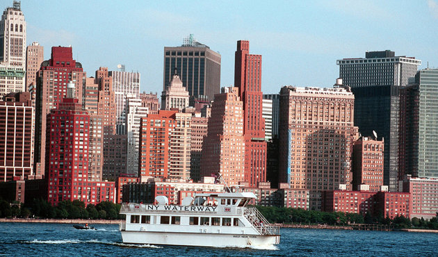 New York'da fareler için 32 milyon dolarlık bütçe!