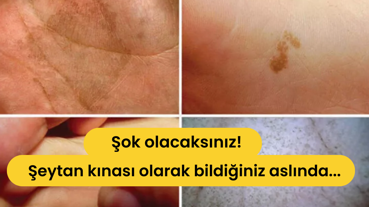 Sabahları ellerinde kına ile uyananlar gerçeği öğrenince şok olacaksınız! Şeytan kınası olarak bildiğiniz aslında...
