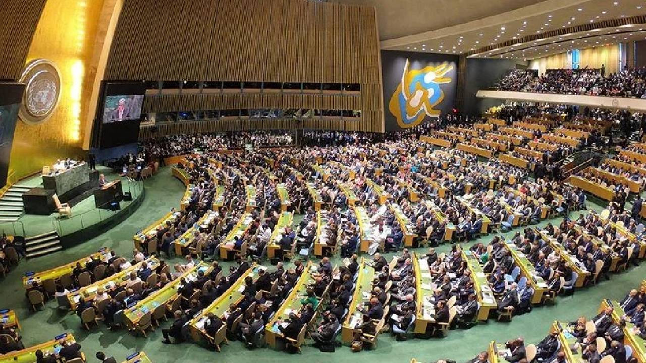 Türkiye’nin dünyaya örnek olan projesi BM’de kabul edildi